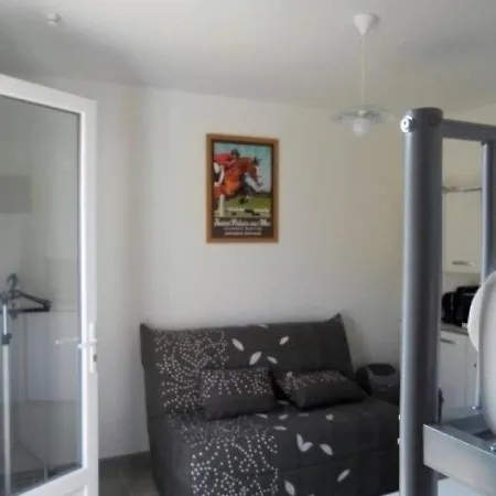 Saint-palais-sur-mer, 1 Piece, 4 Personnes - Fr-1-305-841 *
